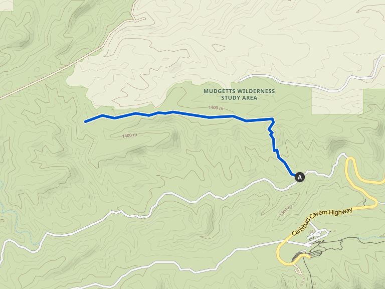 Juniper Ridge Trail — Carlsbad Caverns National Park hike Komoot